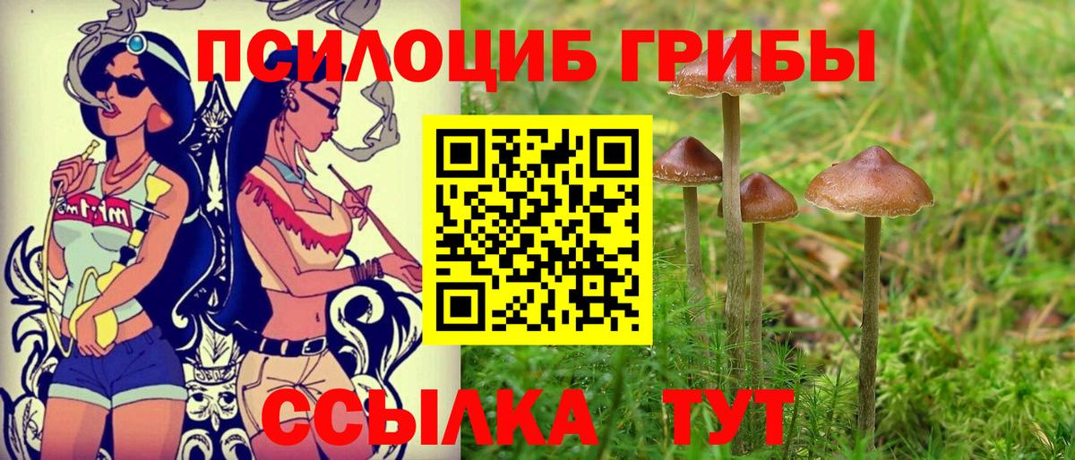 Псилоцибиновые грибы прущие грибы  Вход с VPN  Иваново 